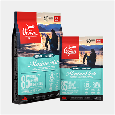 ORIJEN Small Breed Marine Fish โอริเจน สมอลล์ บรีด มารีน ฟิช อาหารเม็ดสำหรับสุนัขสายพันธุ์เล็ก สูตรปลาล้วน 6 ชนิด แพ้ไก่สามารถทานได้